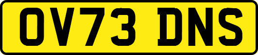 OV73DNS