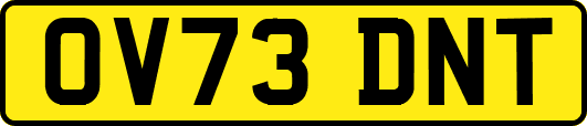 OV73DNT