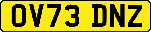 OV73DNZ