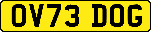 OV73DOG