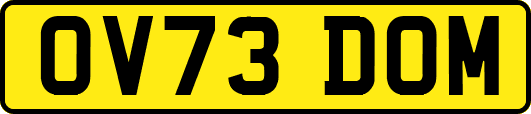 OV73DOM