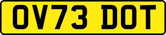 OV73DOT