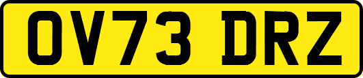 OV73DRZ