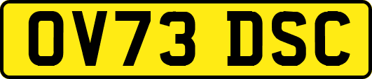 OV73DSC