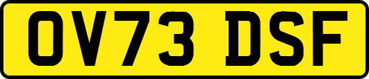 OV73DSF