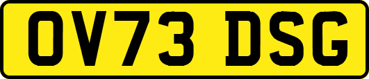 OV73DSG