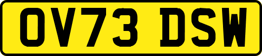 OV73DSW