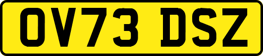 OV73DSZ