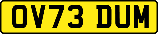 OV73DUM
