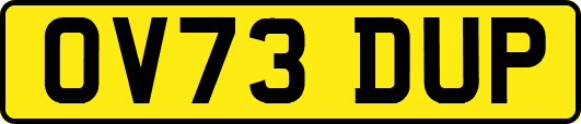 OV73DUP