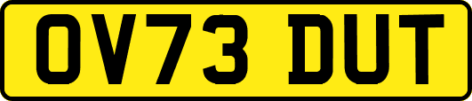 OV73DUT