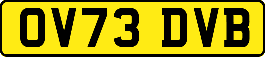 OV73DVB