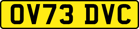 OV73DVC