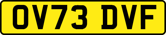 OV73DVF