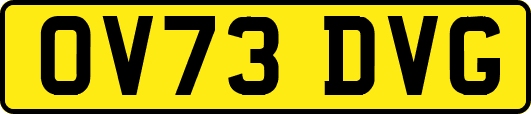 OV73DVG