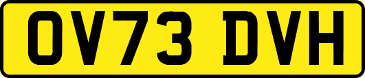 OV73DVH
