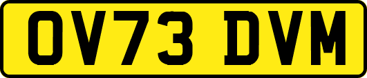 OV73DVM