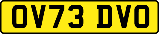 OV73DVO
