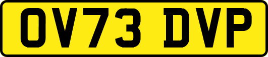 OV73DVP