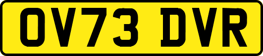 OV73DVR