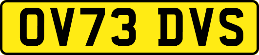OV73DVS