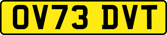 OV73DVT