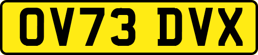 OV73DVX