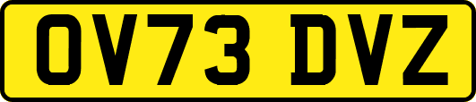 OV73DVZ