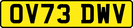 OV73DWV