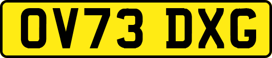 OV73DXG