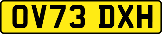 OV73DXH