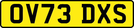 OV73DXS