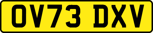 OV73DXV