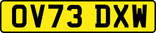 OV73DXW