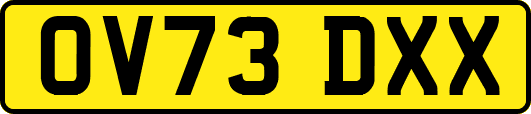 OV73DXX