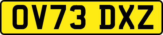 OV73DXZ