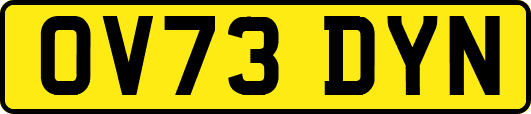 OV73DYN