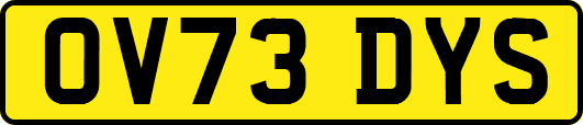 OV73DYS