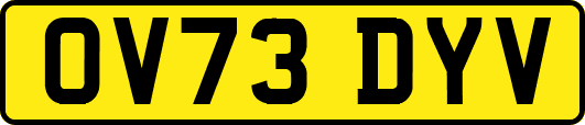 OV73DYV