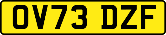 OV73DZF