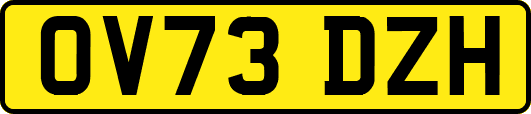 OV73DZH