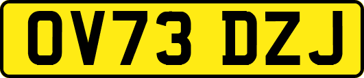 OV73DZJ
