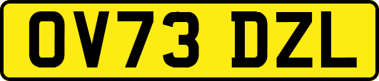 OV73DZL