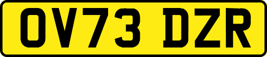 OV73DZR