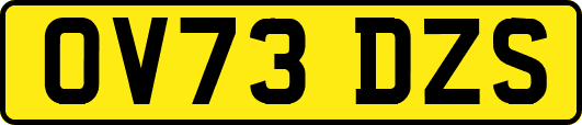 OV73DZS