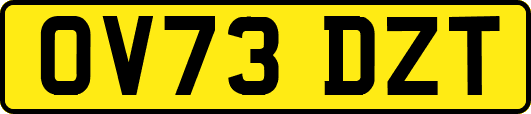 OV73DZT