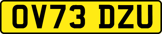 OV73DZU
