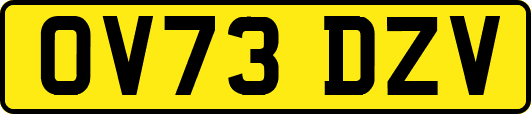 OV73DZV