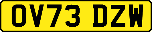 OV73DZW