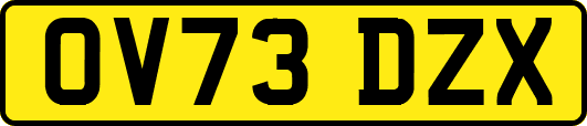OV73DZX